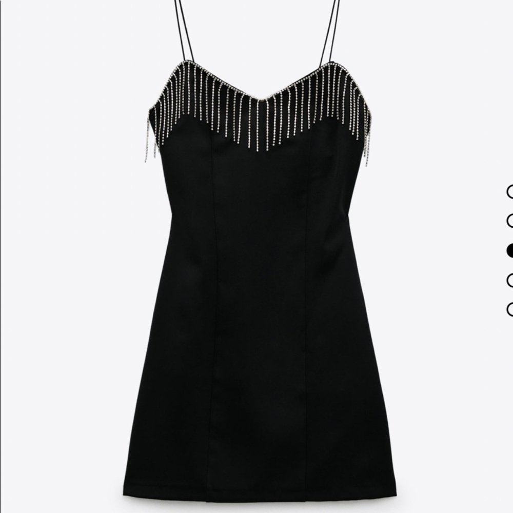 ZARA Fringe Dress